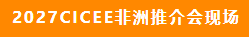 2027CICEE“十国百城千企品牌万里行”登陆非洲(图8)